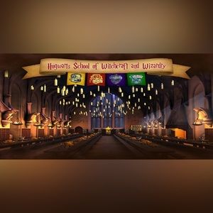 Harry Potter Hogwarts Fabric Backdrop, HUGE custom 20 ft x 10 ft with grommets